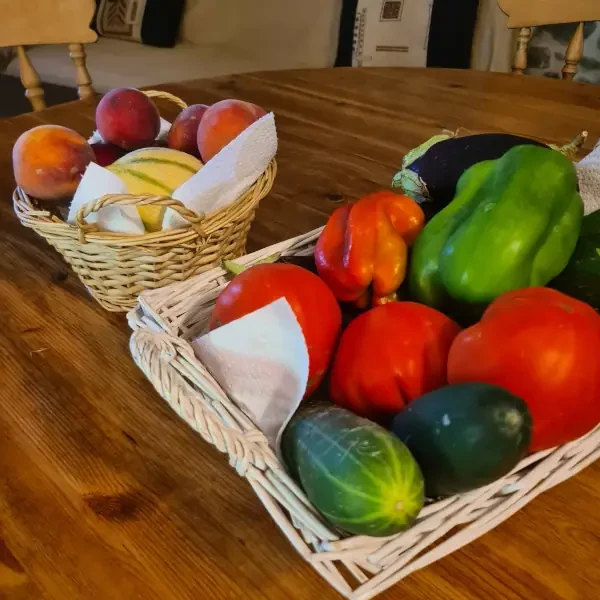 Panier de fruits et légumes en circuit court