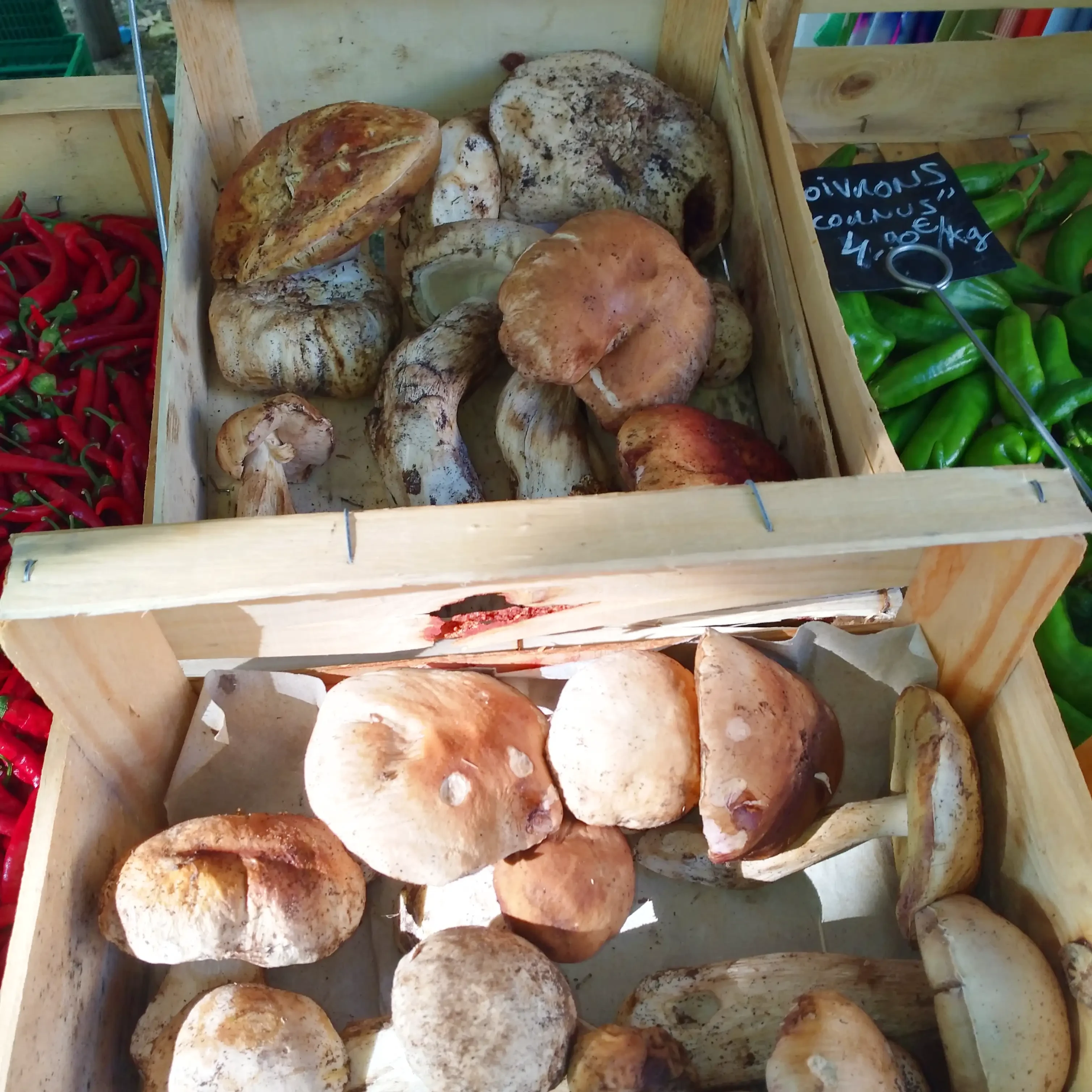 Incontournables sur un marché cévenol en automne