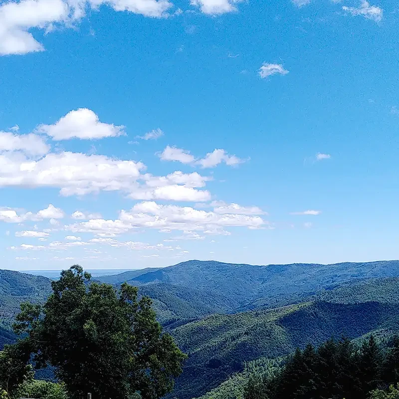 La route des cêtes vers l'Espinas