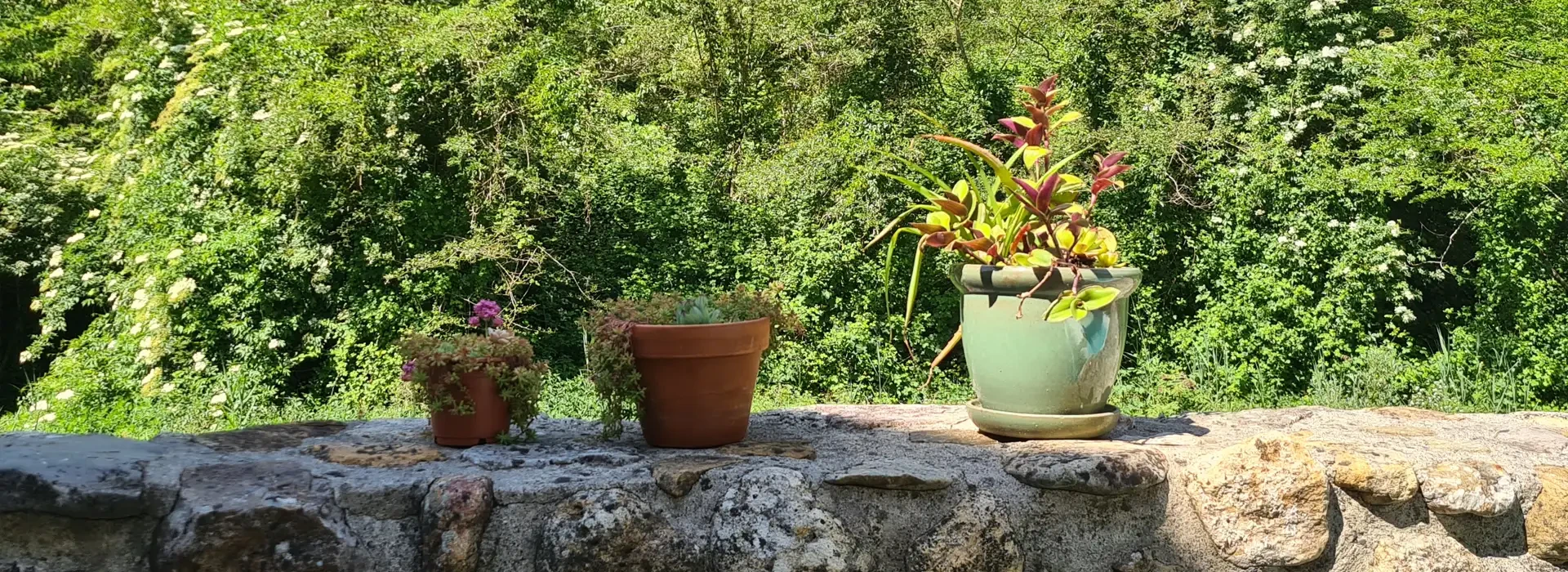 Aux gîtes les terrasses