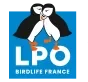 LPO