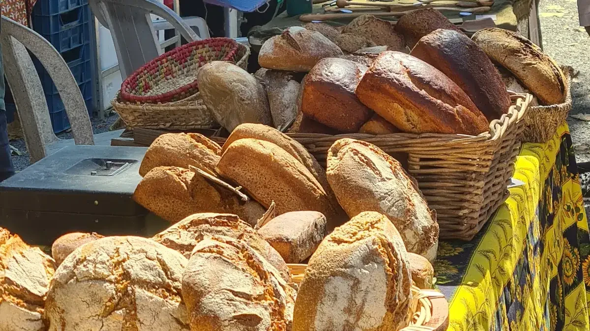 Producteurs locaux