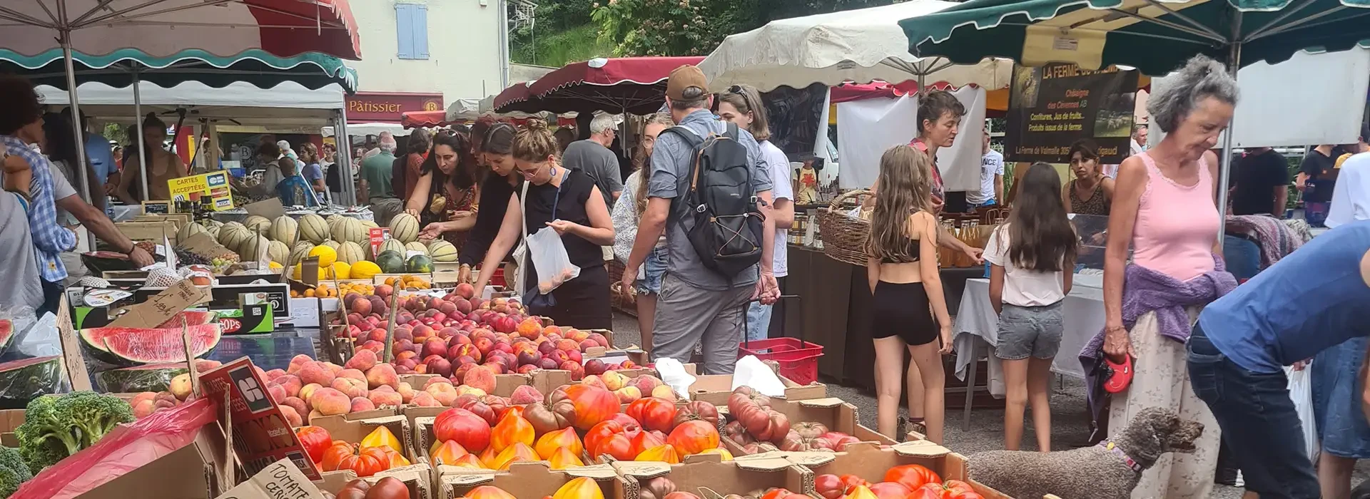 Les marchés de producteurs locaux