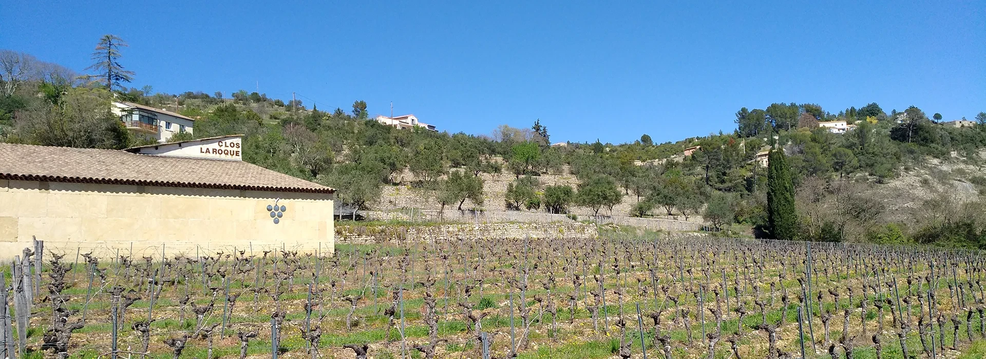 Les vignobles en Cévennes
